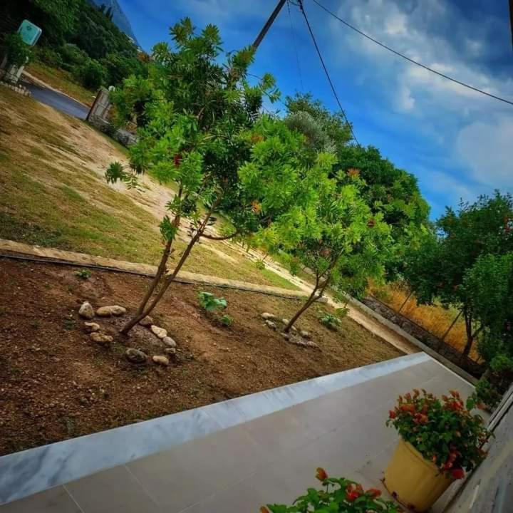 Calma Studios Парга Экстерьер фото